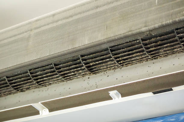Best Air Duct Cleaning Near Me  in Cedar Bluff, VA